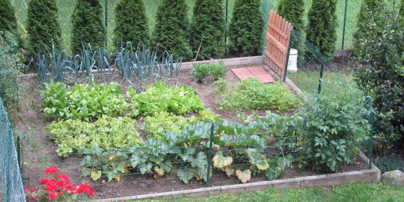 Coldiretti: l’orto è una passione giovanile