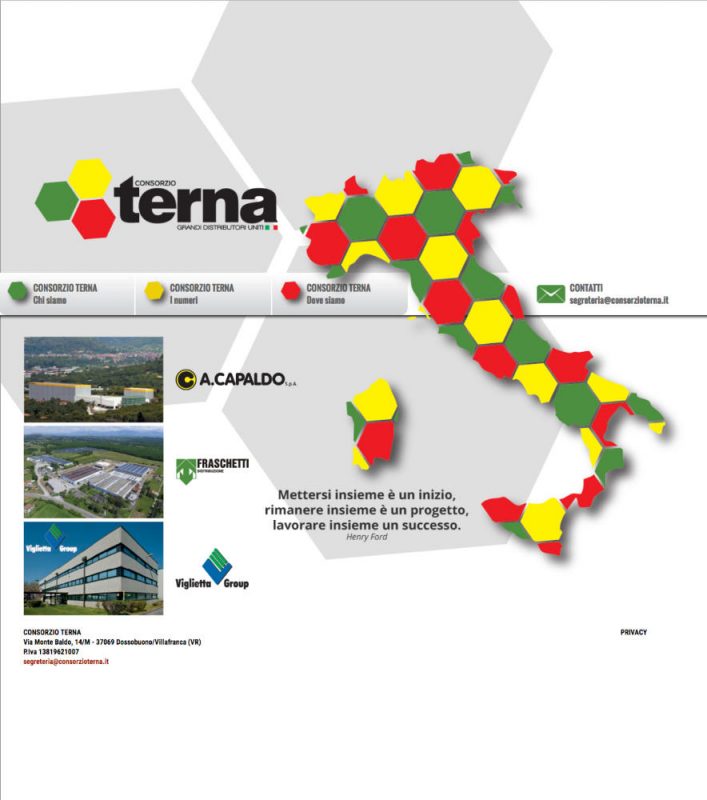 Il nuovo sito web di Terna