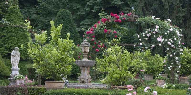 Crescono del 20% le vendite on line del garden UK