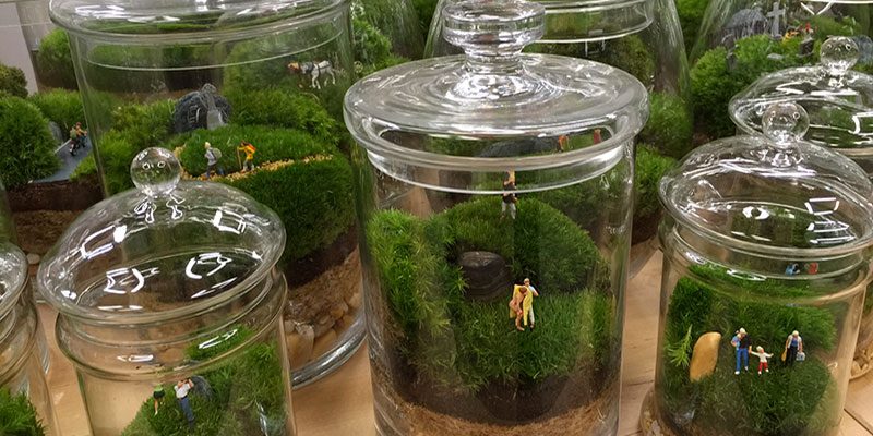 Euromonitor, il garden nell’Europa dell’Ovest