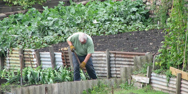 Ok agli spostamenti per gli hobby farmer
