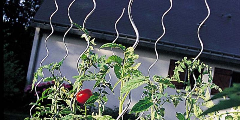 La linea pomodoro di Nortene