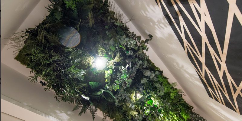 “Welcome to the jungle – Benvenuti nella giungla!”