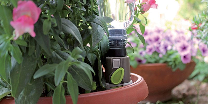 Aquaflora Holiday, la soluzione ideale per le tue vacanze