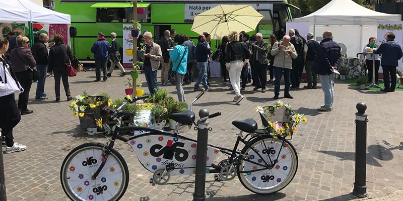 Concluso il Cifo Tour 2017