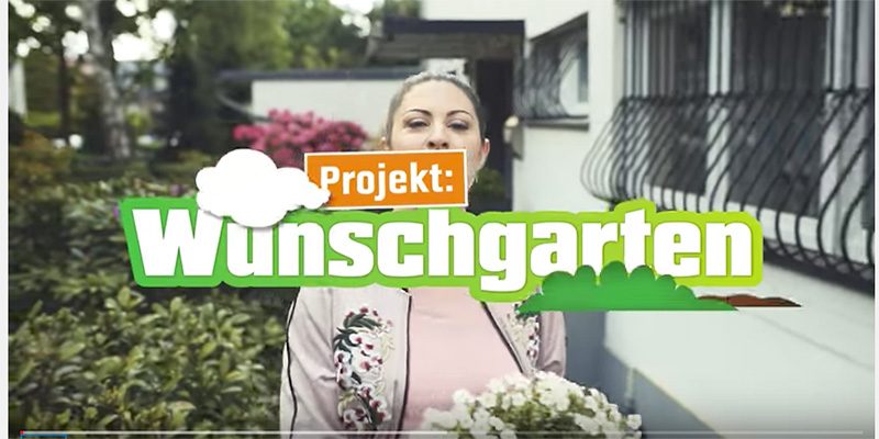 Il video della settimana. Obi, dai desideri alla realtà