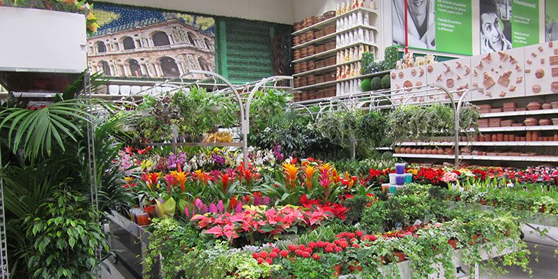 Osservatorio Casa, gli italiani e giardino ( ma anche balconi e terrazzi)