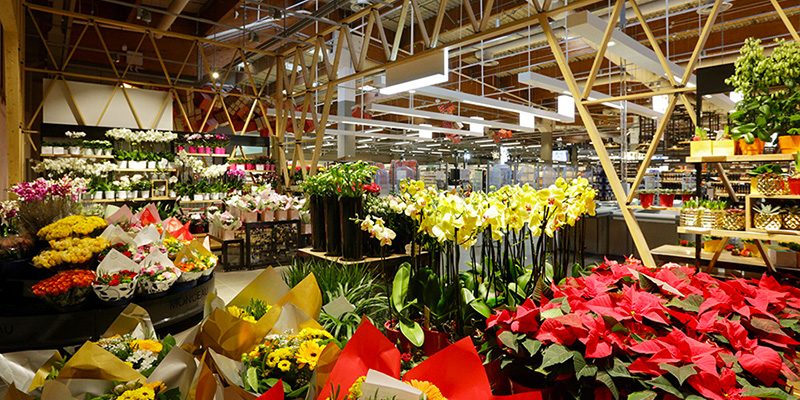 Extracoop di Coop Alleanza 3.0. Innovazione nel non food (brico compreso)