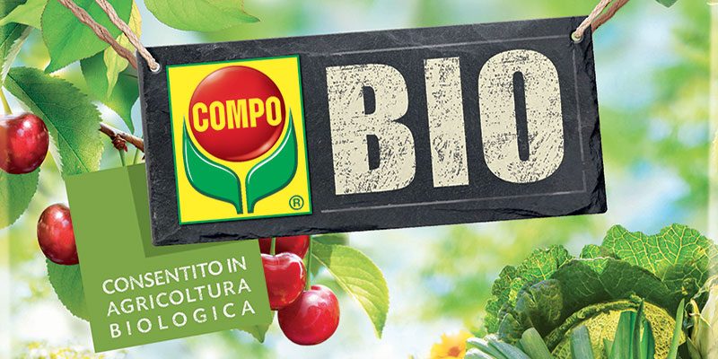 Fertilizzanti, la rivoluzione della lana di pecora