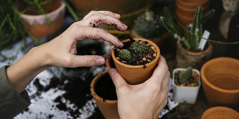 Con la primavera “sboccia” la voglia di verde
