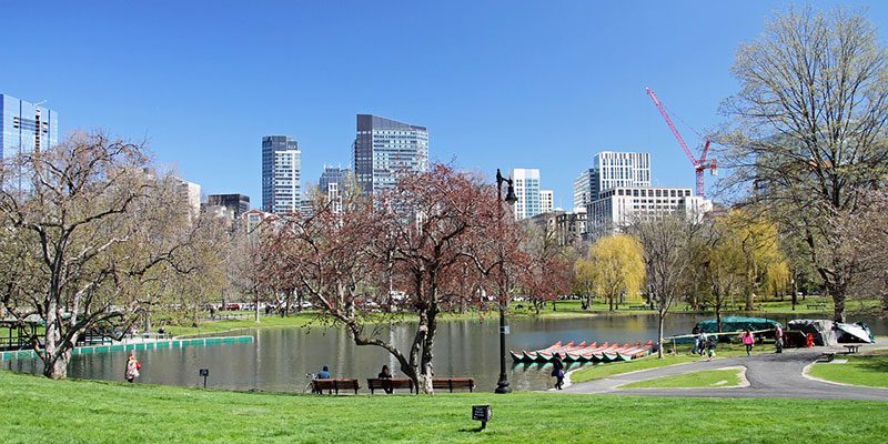 Gestione e cura del verde pubblico. Un convegno