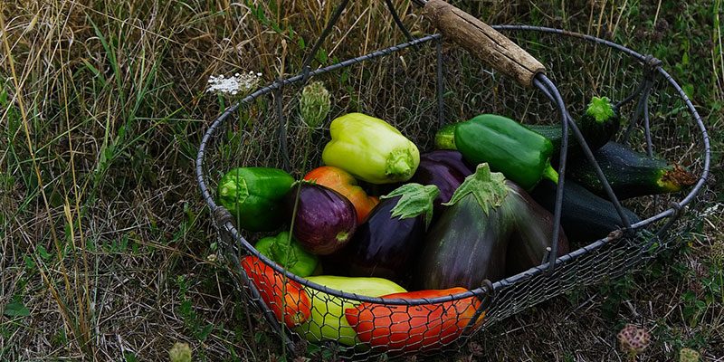 Coldiretti, il 63% degli italiani cura orto e giardino