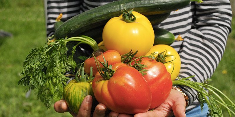 COMPO Italia, a scuola con Biocoltiviamo