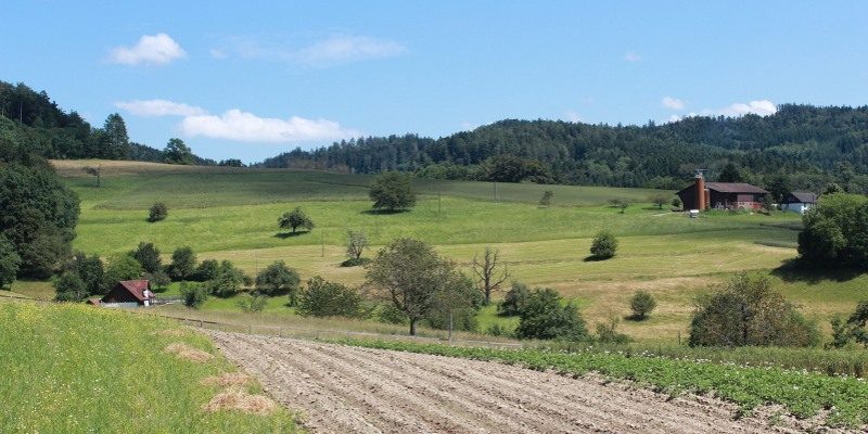 Università, a Siena nasce la facoltà di Agribusiness