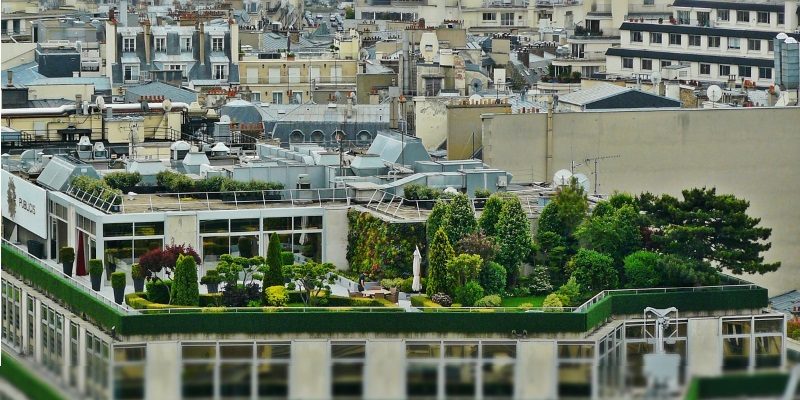 Il Bonus verde rischia di sparire? Preoccupazione tra gli operatori