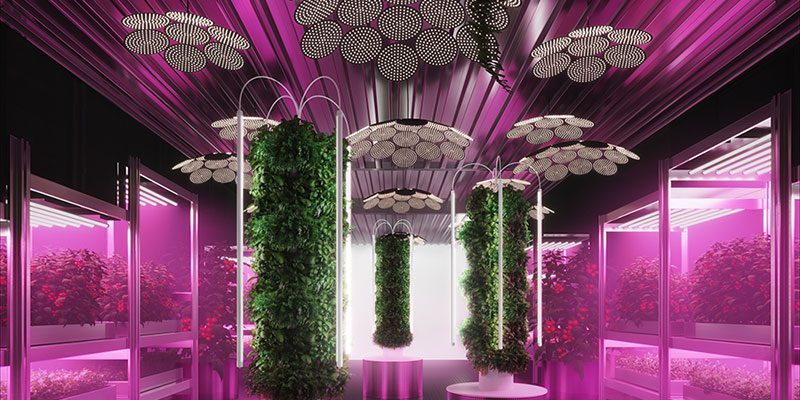 Ikea e Tom Dixton, un giardino per salvare il mondo