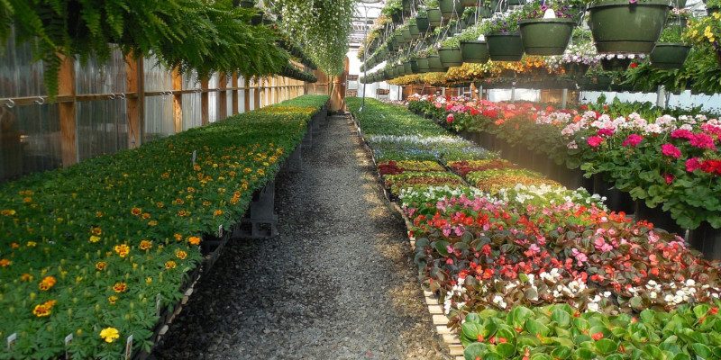 Florovivaisti e Garden Center lombardi. Pubblicata la Legge