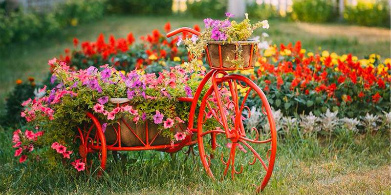 Biozon 100% naturale per piante e fiori