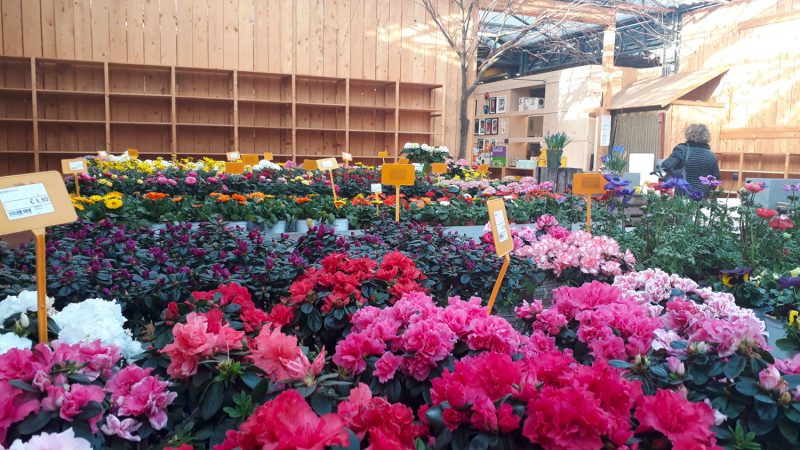 Covid-19, è emergenza per il comparto garden