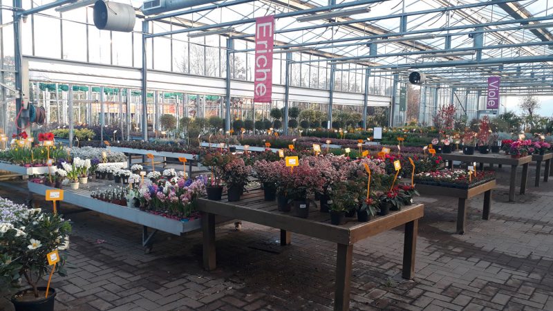 Florovivavismo, serve un fondo di compensazione