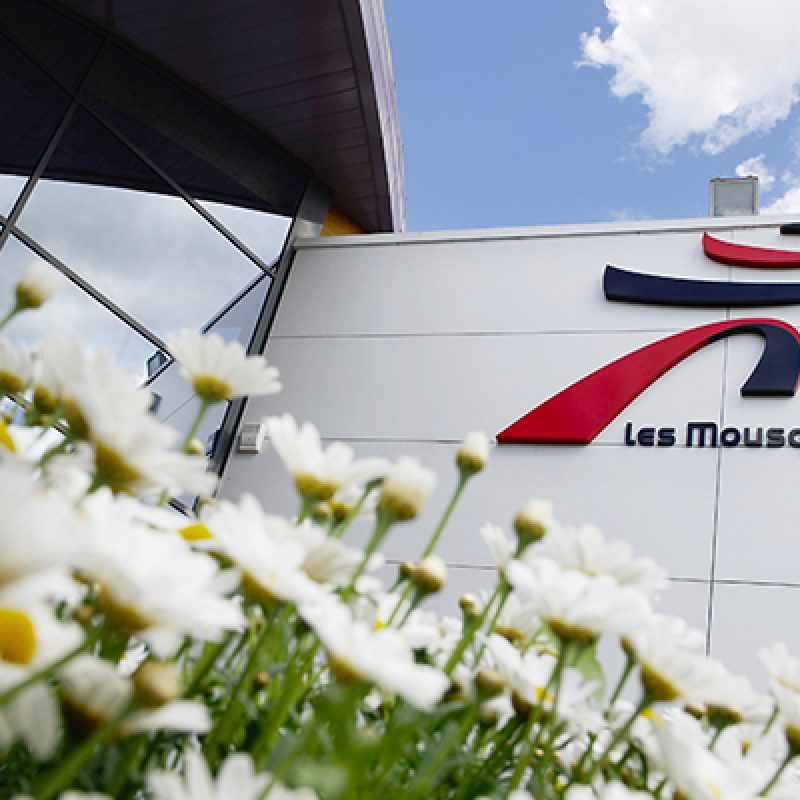 Les Mousquetaires acquista quote di BricoPrivé