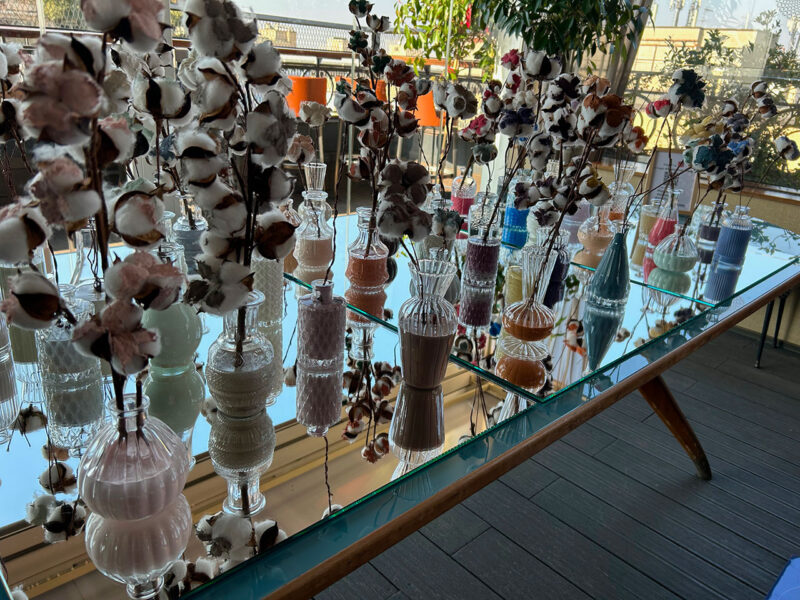 Vining Ivy, il colore 2023 di Sigma Coatings